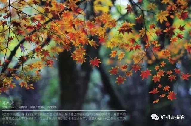 摄影光圈的基本理论,摄影常识光圈快门感光度