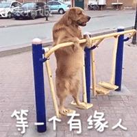 你认识几个“一诺”？济南新生儿爆款名字大总结，稳居前三的是这几个