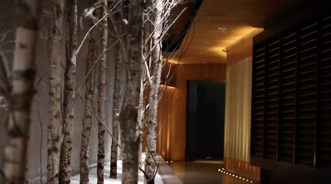 澳门morpheus酒店优惠预订,澳门轻奢酒店优惠