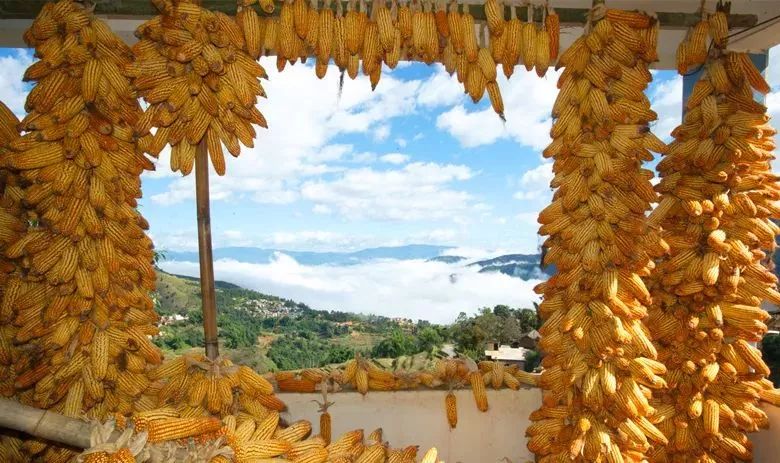 元江哈尼山寨旅游攻略,元江一年一度哈尼十月长街宴视频