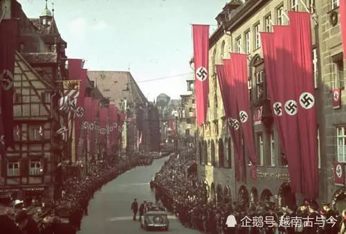 《神奇动物:格林德沃之罪》讲解,神奇动物格林德沃之罪知乎