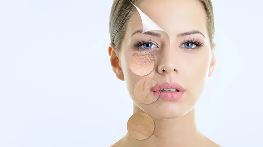 葡萄籽羊胎素,抗皱抗衰羊胎素