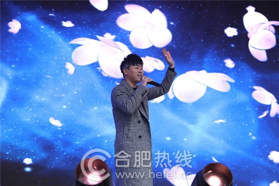 合肥这几天的事,合肥家居市场现状