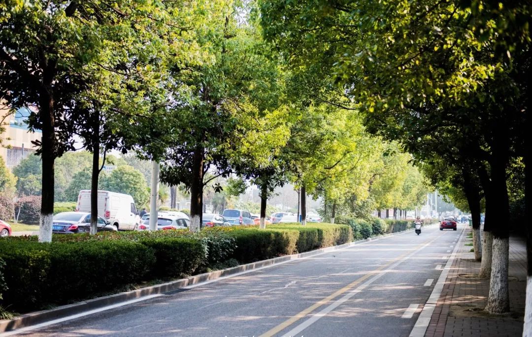 合肥蜀山区体育公园足球场项目,合肥塘西河体育公园足球场