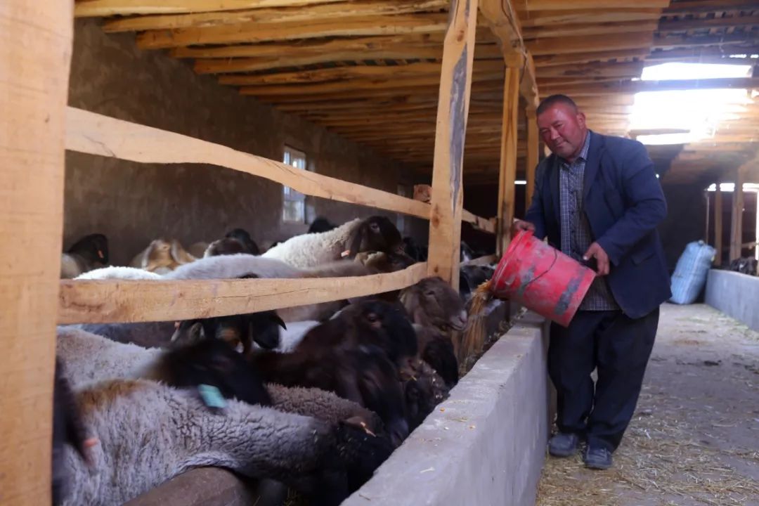 喀什市英吾斯坦乡兰干村,莎车县英吾斯塘乡兰干村