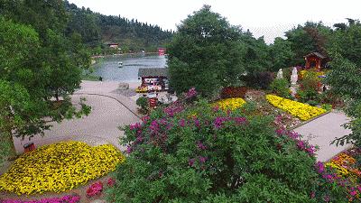 「重磅消息」重庆稻草人旅游节暨玫瑰花海门票无限免费送！5月1日黄金周，我们约起！