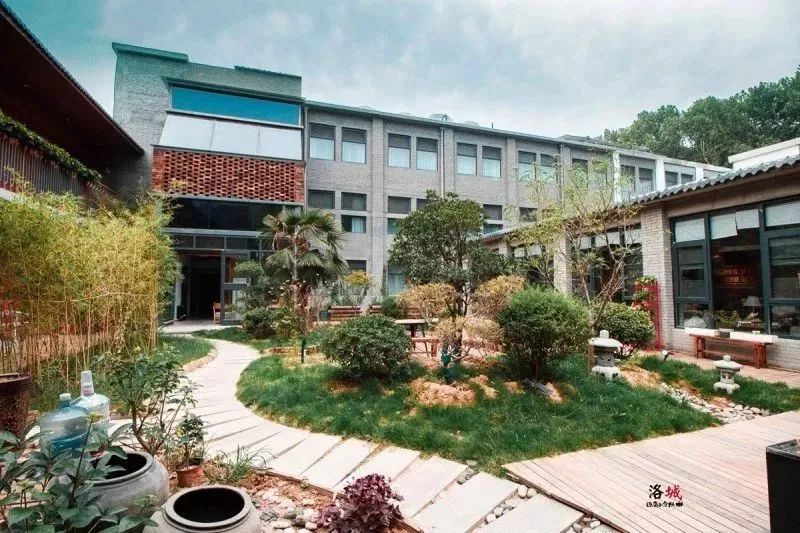 洛阳隐藏在山里的民宿,洛阳竟藏着这么一个绝美之地