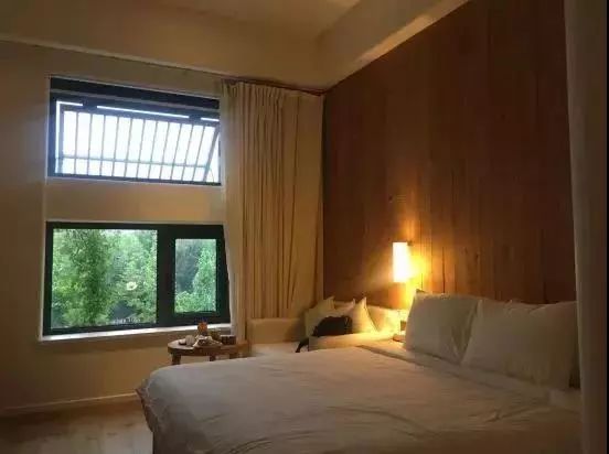 洛阳隐藏在山里的民宿,洛阳竟藏着这么一个绝美之地