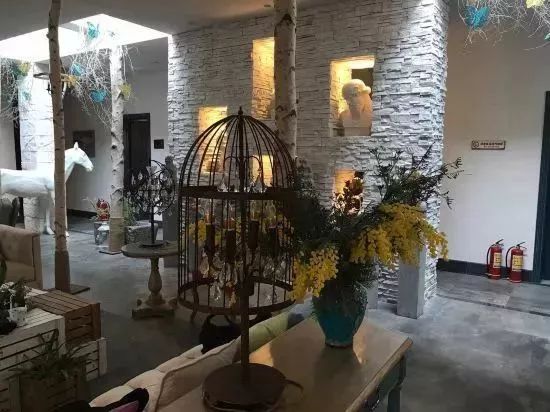 洛阳隐藏在山里的民宿,洛阳竟藏着这么一个绝美之地