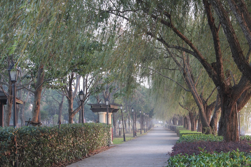 阳澄湖春季游玩攻略大全,阳澄湖秋天最美的地方