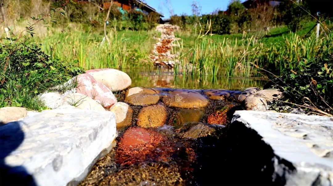 花舍温馨小院主题客栈,北京花舍民宿住宿