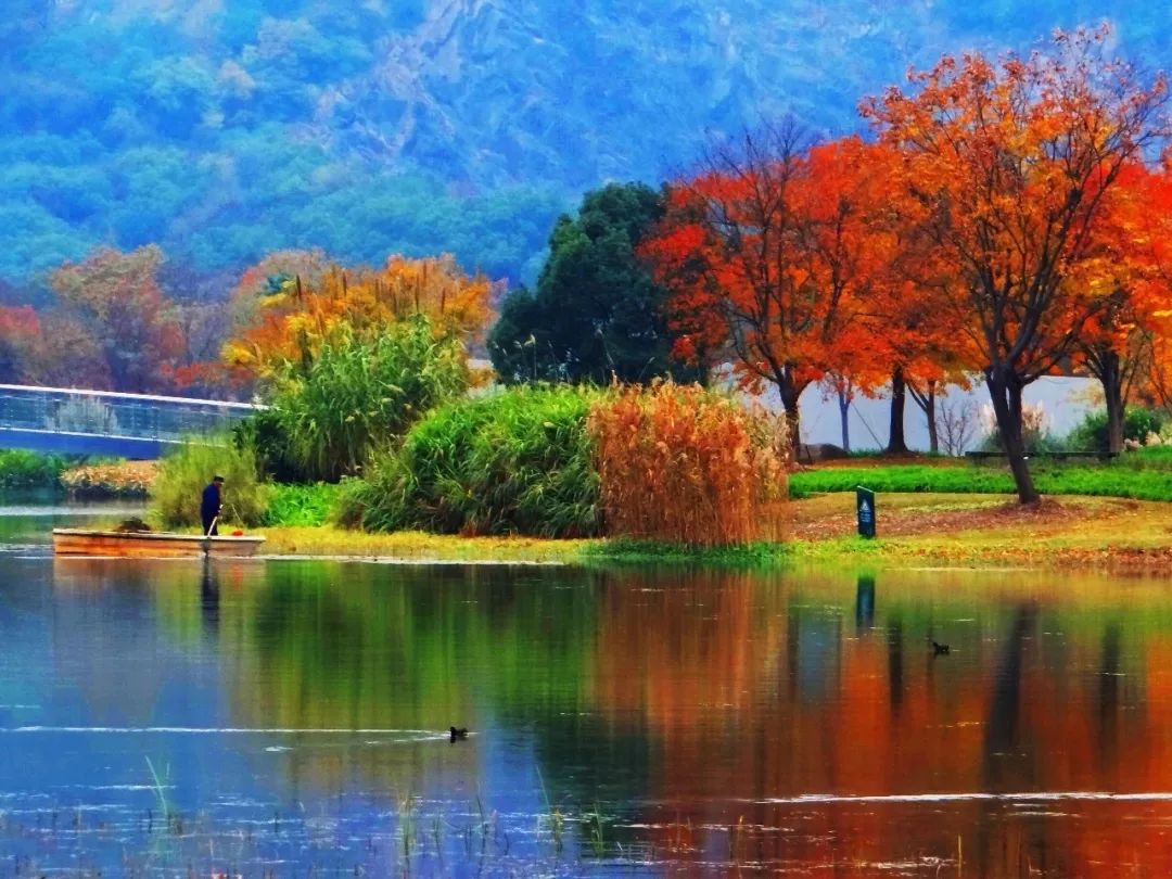 厉害了！再过不久，上海这些地方要“火”了！乘公共交通去围观