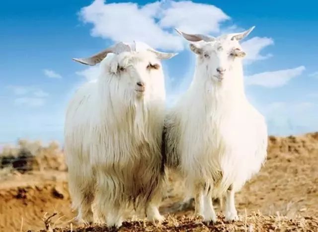 换季买衣服冷知识,买衣服都要知道的冷知识