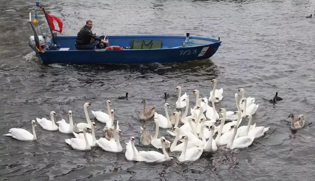 湖北景区下雪了,湖北周边哪里看雪景