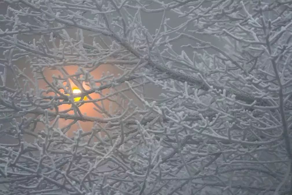 湖北景区下雪了,湖北周边哪里看雪景