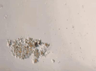 内衣裤处瘙痒小妙招,无痕裤内裆