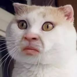 紧急！成本不超1元，生产过程触目惊心！你老婆可能正在用！