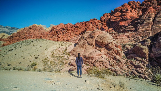 在拉斯维加斯玩点不一样的