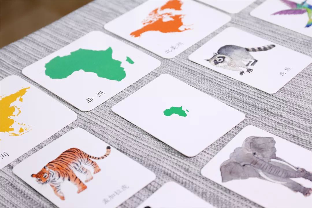 月费1万的蒙氏幼儿园太贵?只要69元,法国幼教大师手把手教你,在家玩蒙氏教育!