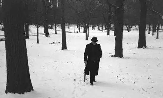 最好的生活状态的句子木心,木心心态