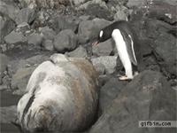 笑一笑，心情好；笑一笑，烦恼消；看完后朋友们开口大笑吧