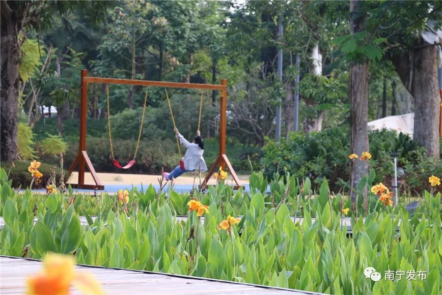 百里秀美邕江景区全景导览图,百里秀美邕江风景如诗如画