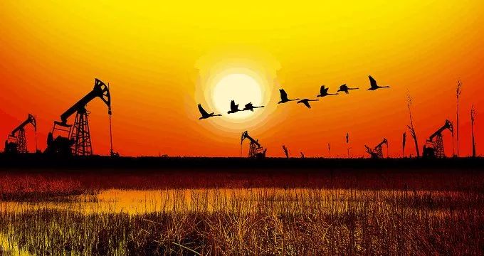 「聚焦」山东这个四线城市人均GDP超深圳，淄博排名也不差……