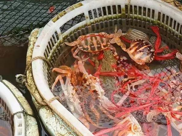 别去鼓浪屿挤了！佛山周边的5个小渔村！新鲜海鲜、绝美小桂林饱足眼福！