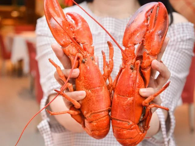 ¥238/位——“爱尔兰生蚝+15种海鲜”畅吃,还送波龙!乐队表演周末哈根达斯!这家希尔顿旗下酒店颠覆吃货想象!