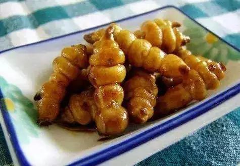 北方人会猫冬,东北什么时候开始猫冬