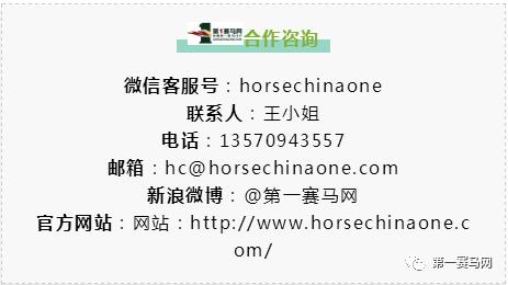 彼德说,彼德纬伦演讲