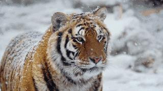 尖叫！包吃包住包玩，2天1夜邀你免费畅玩华南第一湖！