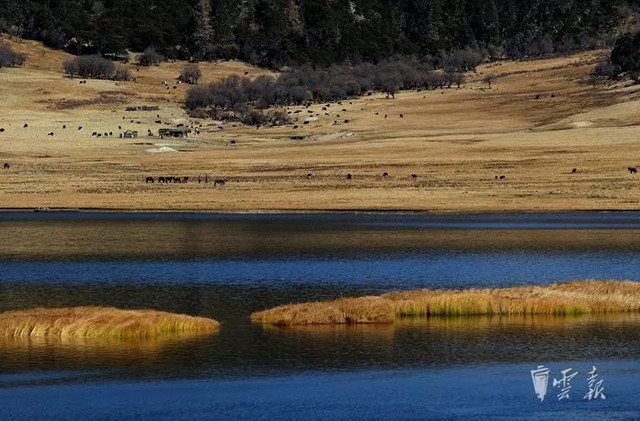 云南景点门票团购特价票,云南石林丽江旅游攻略