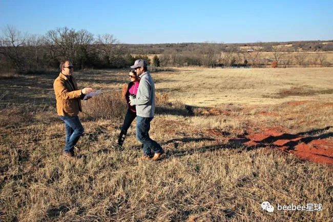 为什么老外都爱死了腾格尔？