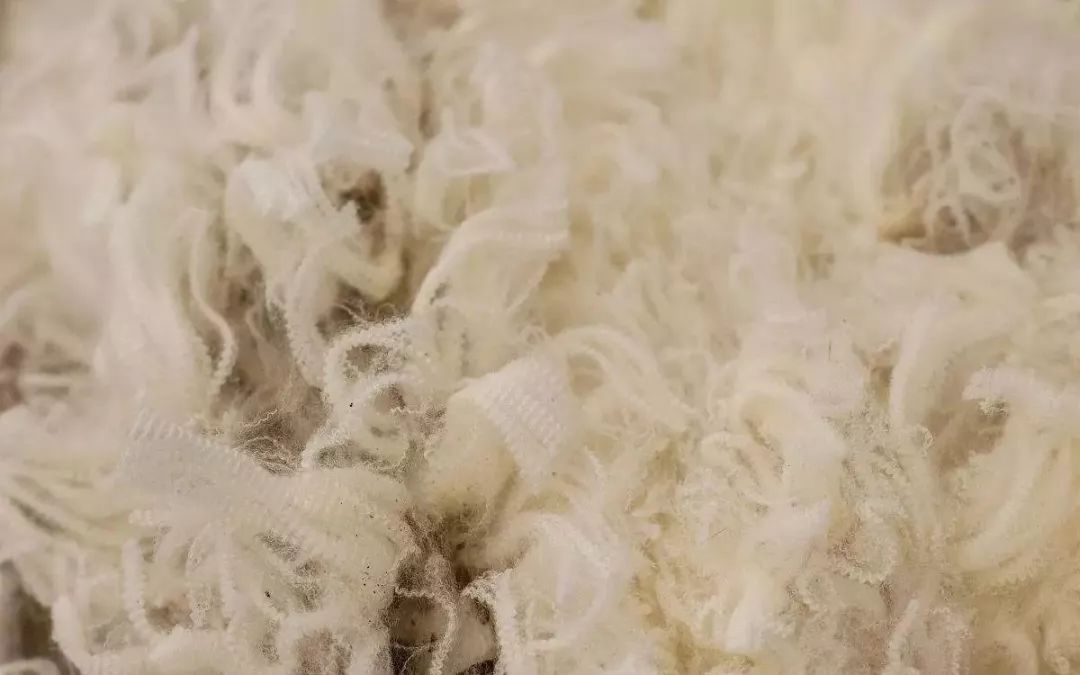 阿尔巴斯山羊绒围巾,阿尔卑斯山羊绒围巾