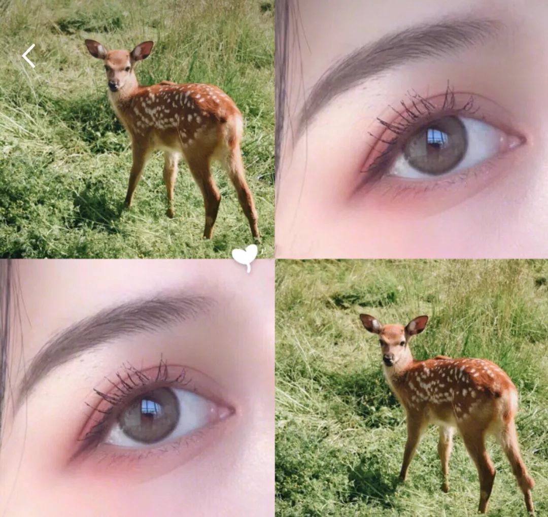 周杰伦的妻子昆凌是混血吗,周董的老婆昆凌