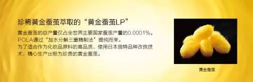 pola哪个产品最好用,评价pola