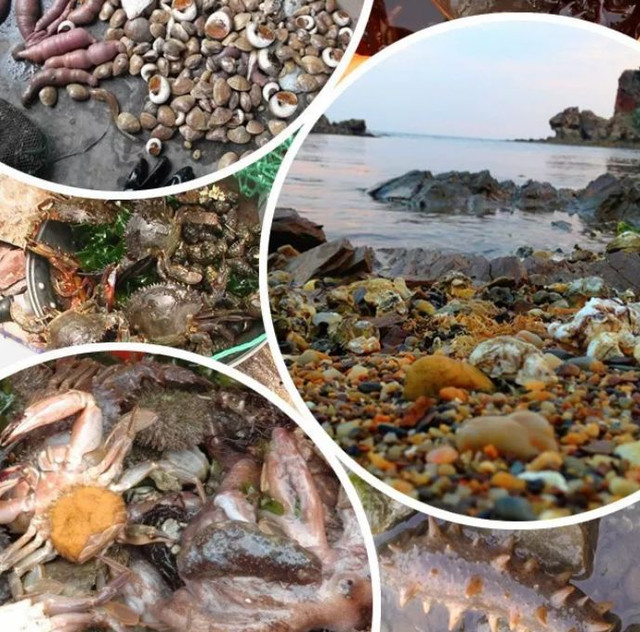 大连适合避暑的地方,大连避暑