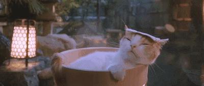 西安周边冬季温泉推荐,西安附近值得泡的温泉