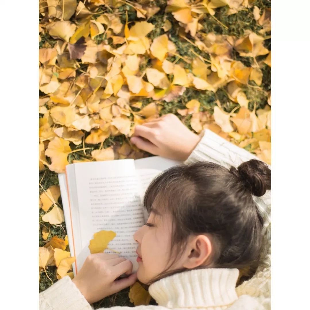 银杏打卡景点,成都周边打卡最美银杏观赏地