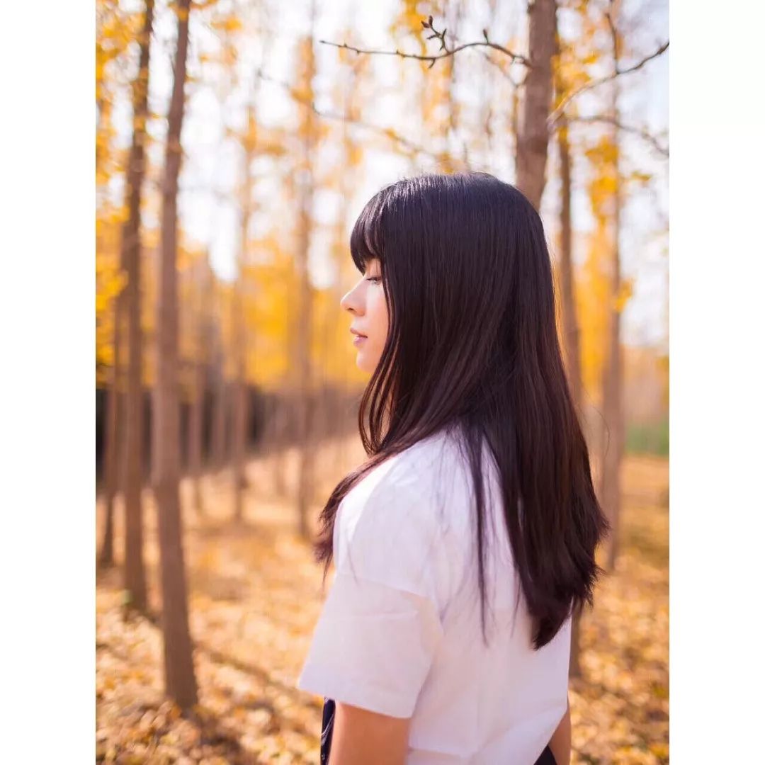 银杏打卡景点,成都周边打卡最美银杏观赏地