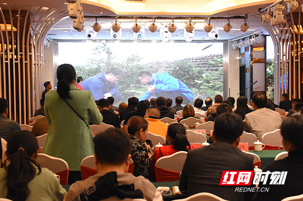 橙意满满橙子采摘,橙意满满蜜雪冰城