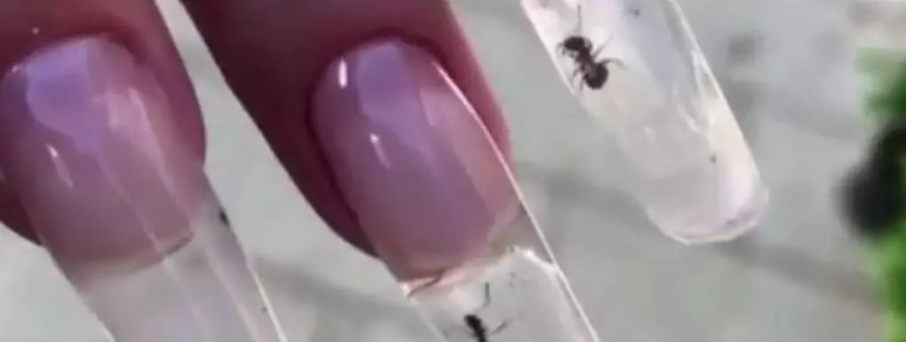 有毒or博眼球｜Ins上最大的美甲账号，脑洞大得没边了