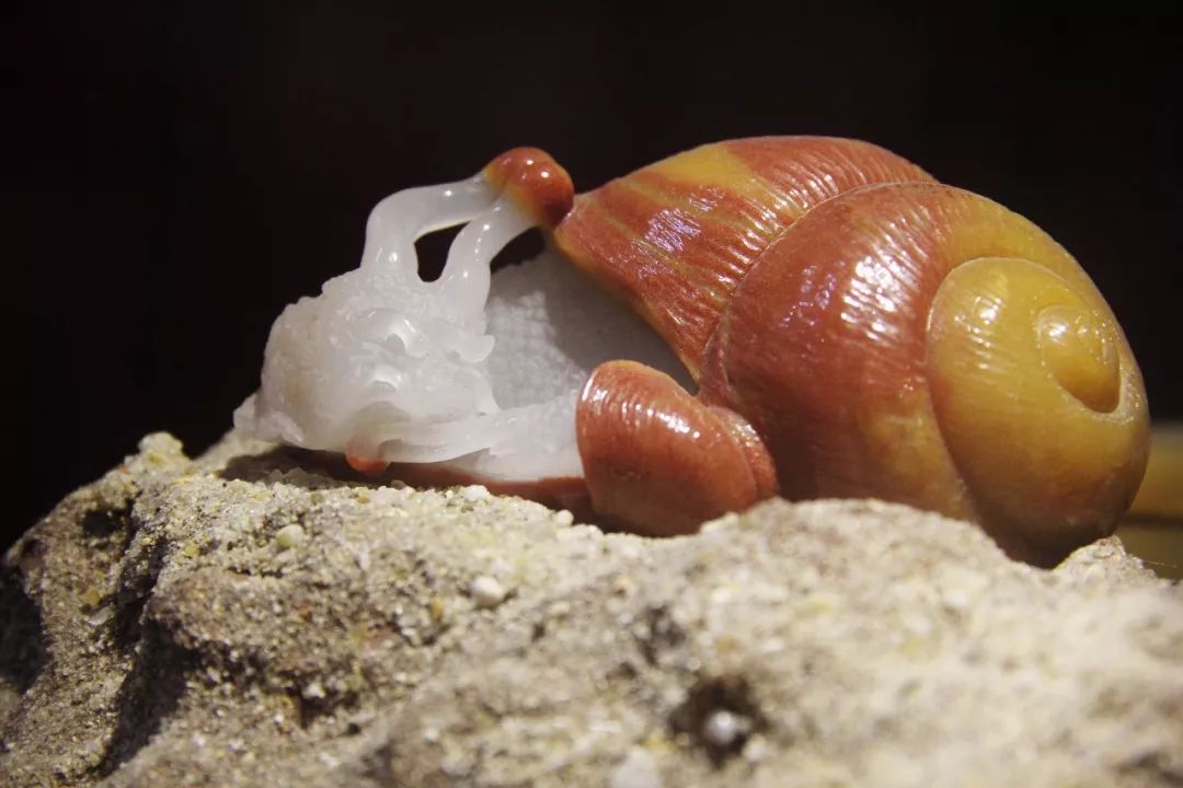 精品玉坠图片欣赏,平洲玉器街玉坠