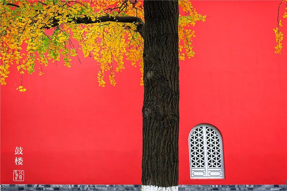 鼓楼70岁的老人免费吗,鼓楼60岁以上老人免票吗