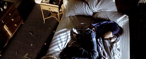 法国Lérane草本净螨贴，萃取天然植物，除螨更安心