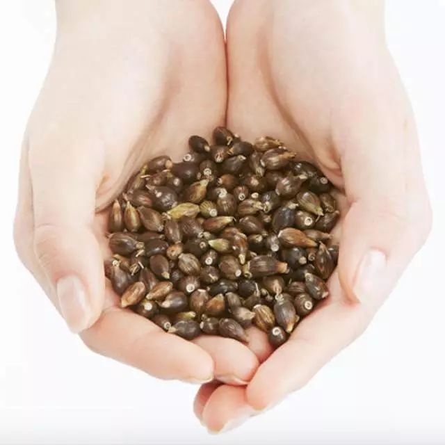 一条精选｜法国钢化玻璃餐具六件套，日本Albion化妆水