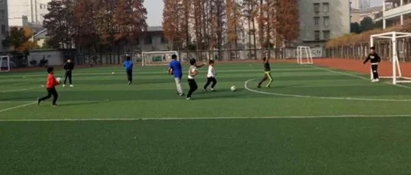 孝感市机构改革方案公布,足球改革总体方案全文