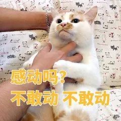 今朝上海|外卖点了3杯喜茶,结果喝出“套套”,门店、饿了么均称:不是我干的!