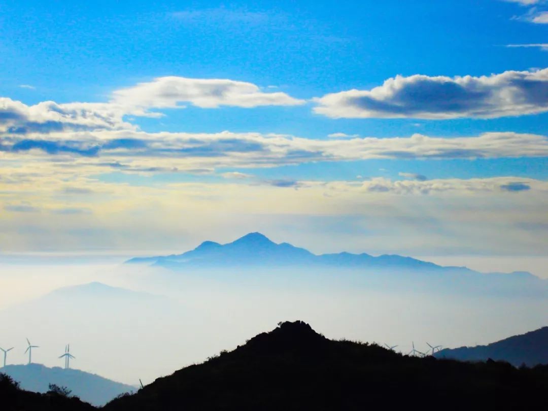 中国最美的篮球场树林,国内最美的十大篮球场